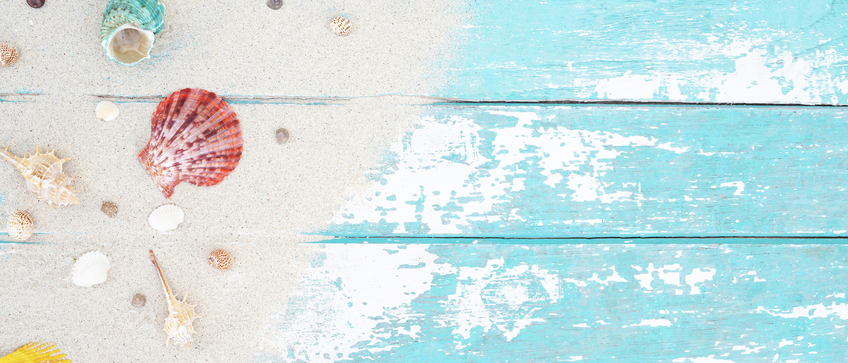 Summer Concept with Seashells and Sand